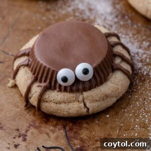 Spooky spider cookie - a delicious snickerdoodle cookie topped with a Reese's peanut butter cup, candy eyeballs, and chocolate spider legs for Halloween.