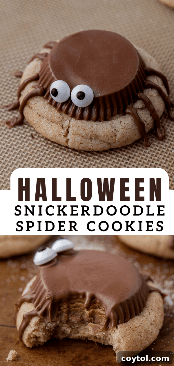 Snickerdoodle Halloween spider cookies, perfect for pinning to your Halloween recipe board.