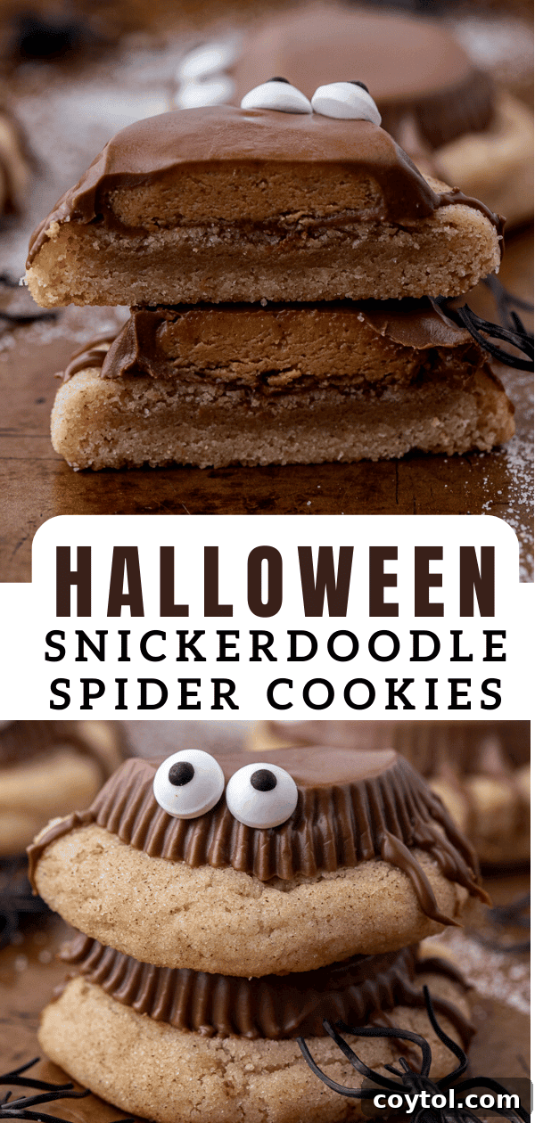 A second image of Snickerdoodle Halloween spider cookies, inviting readers to save the recipe.