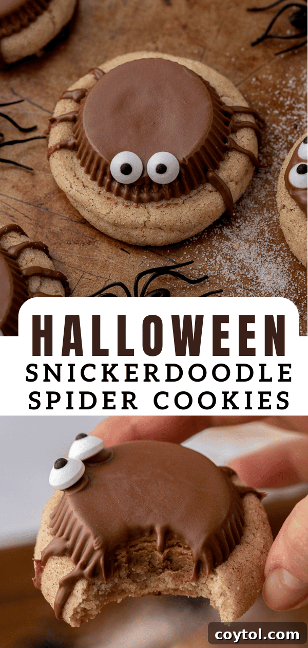A third captivating image of Snickerdoodle Halloween spider cookies, encouraging sharing on Pinterest.