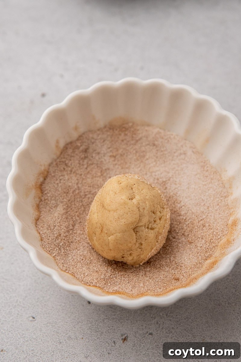 Cookie dough rolled in cinnamon sugar, illustrating the preparation step for snickerdoodle Halloween spider cookies.