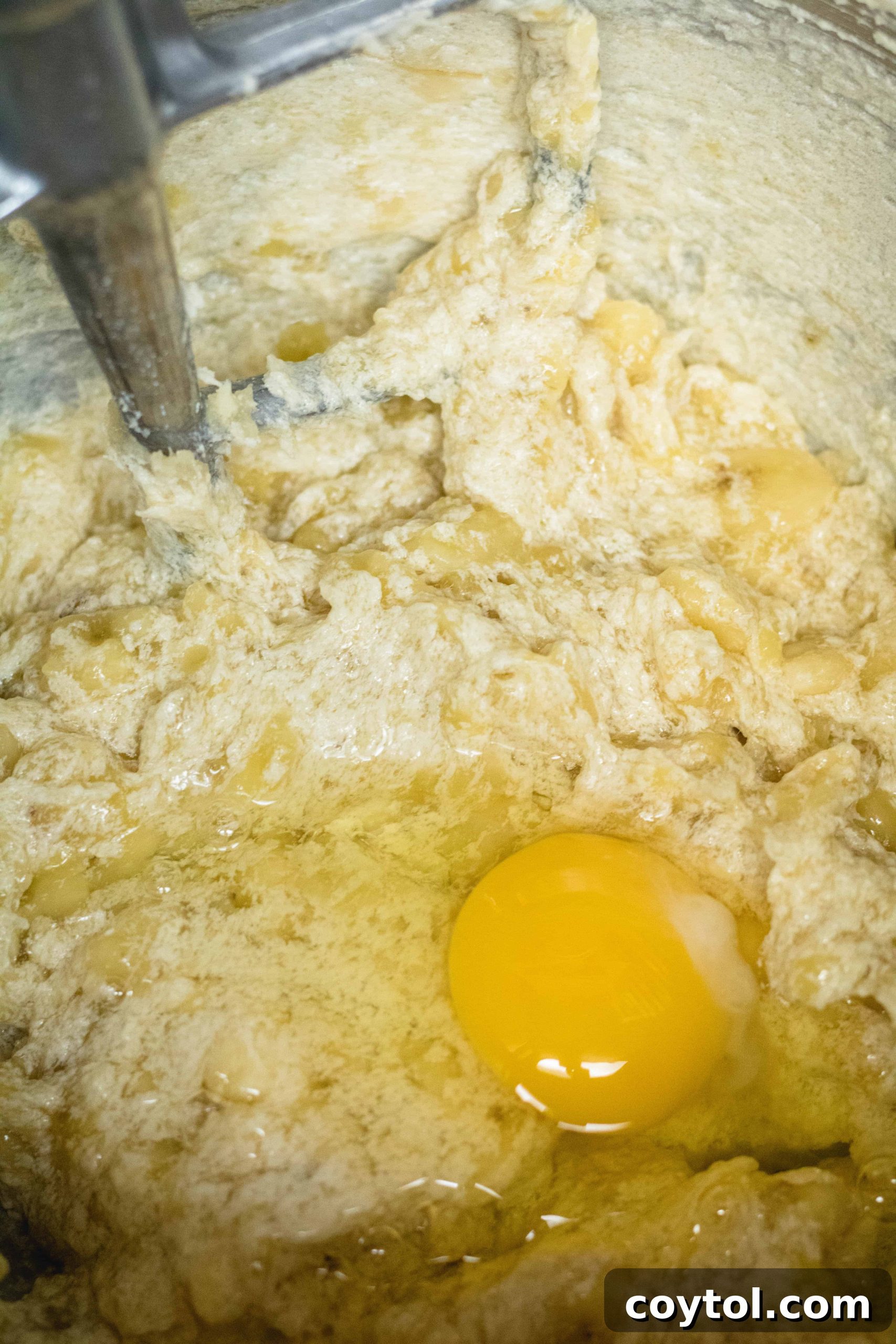 Adding the egg to the muffin mix.
