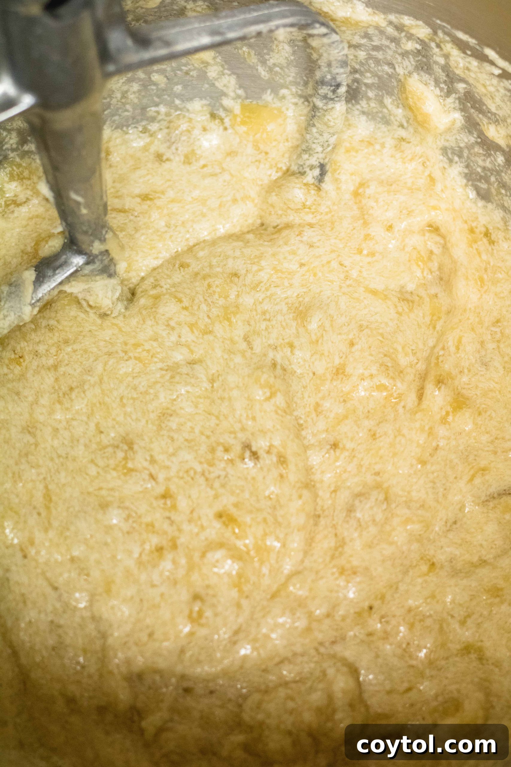 Mixing in the egg for banana walnut muffins.