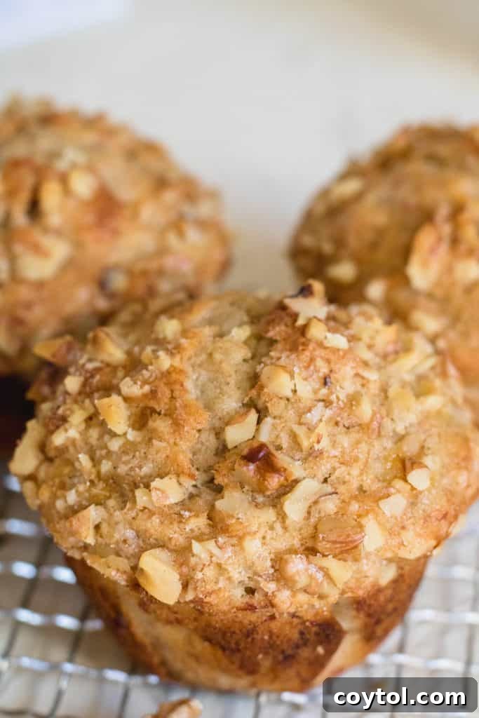 Moist banana walnut muffins recipe, close-up.