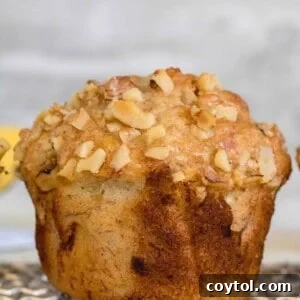 Delicious banana nut muffins, a close-up image.