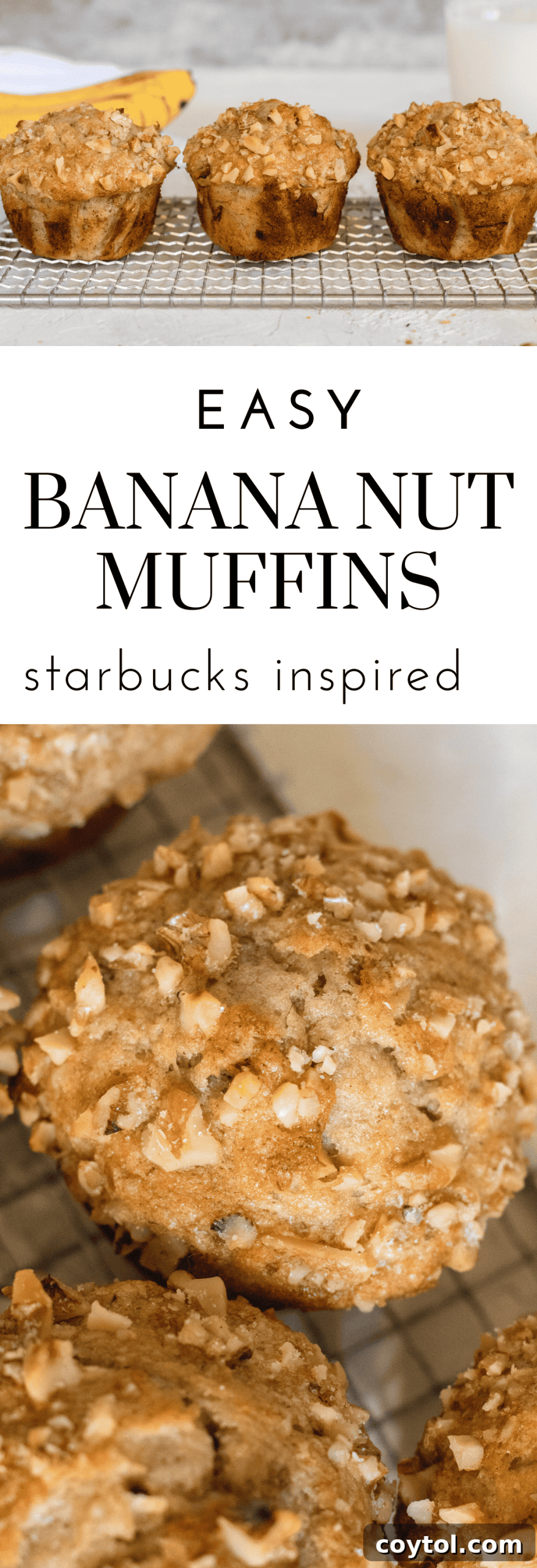 Delicious and easy banana walnut muffins.