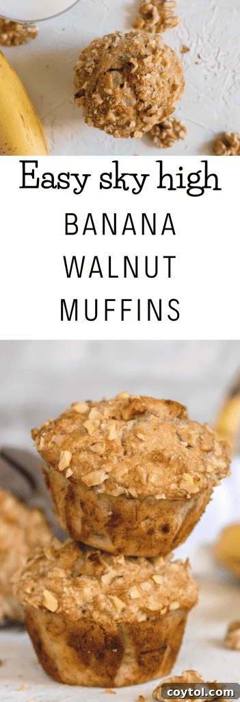 Easy sky-high banana walnut muffin recipe graphic.