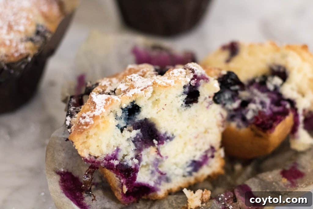 Bakery style blueberry muffins