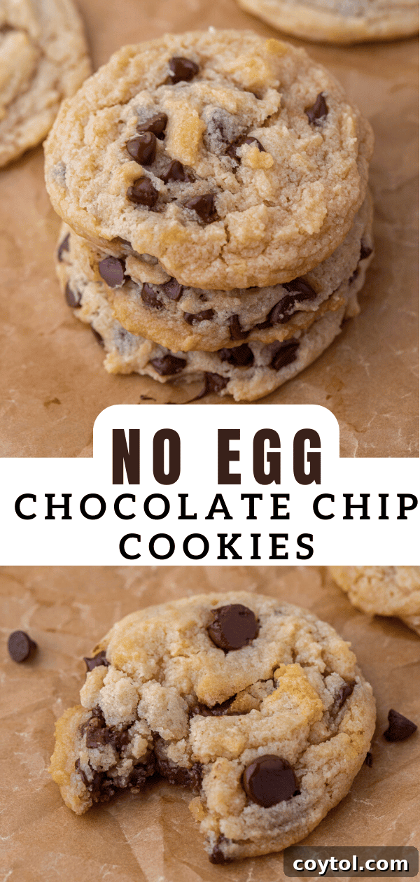 A beautifully arranged image of an eggless chocolate chip cookie for pinning.