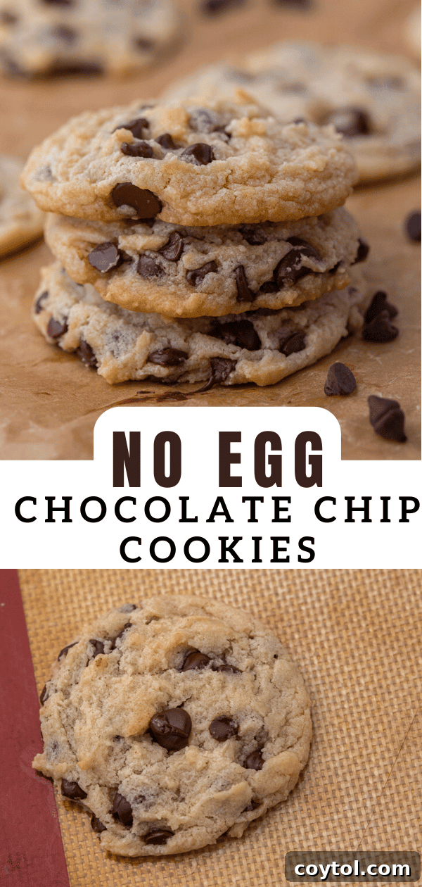 Another enticing image of an eggless chocolate chip cookie, perfect for pinning and sharing.