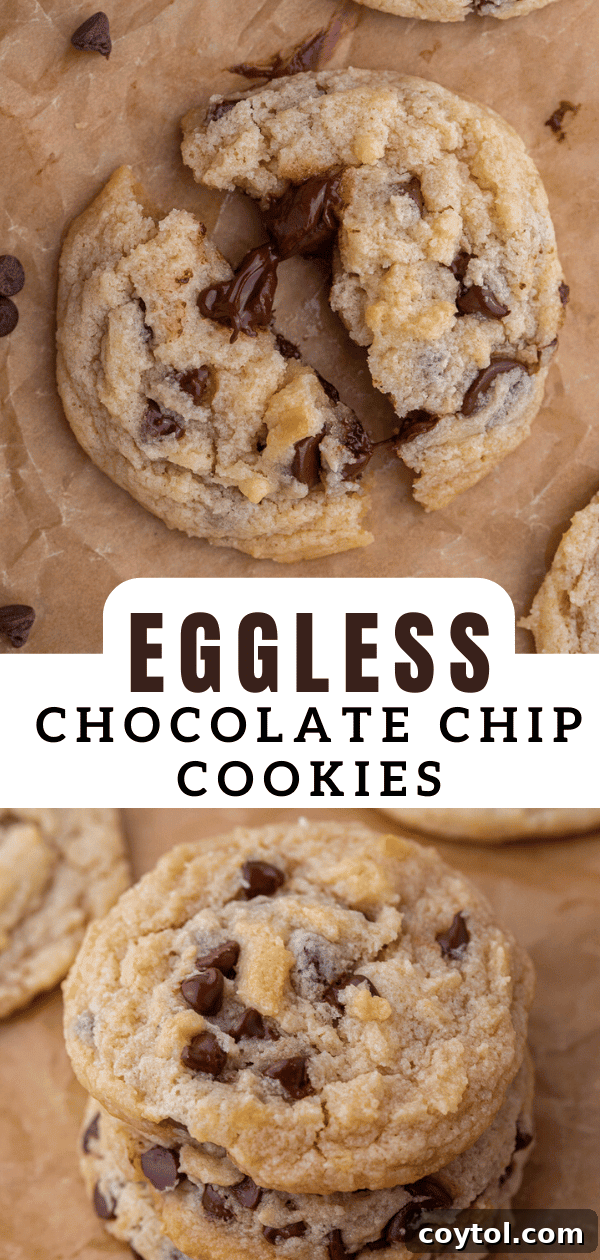 A final captivating image of an eggless chocolate chip cookie, encouraging readers to pin the recipe.