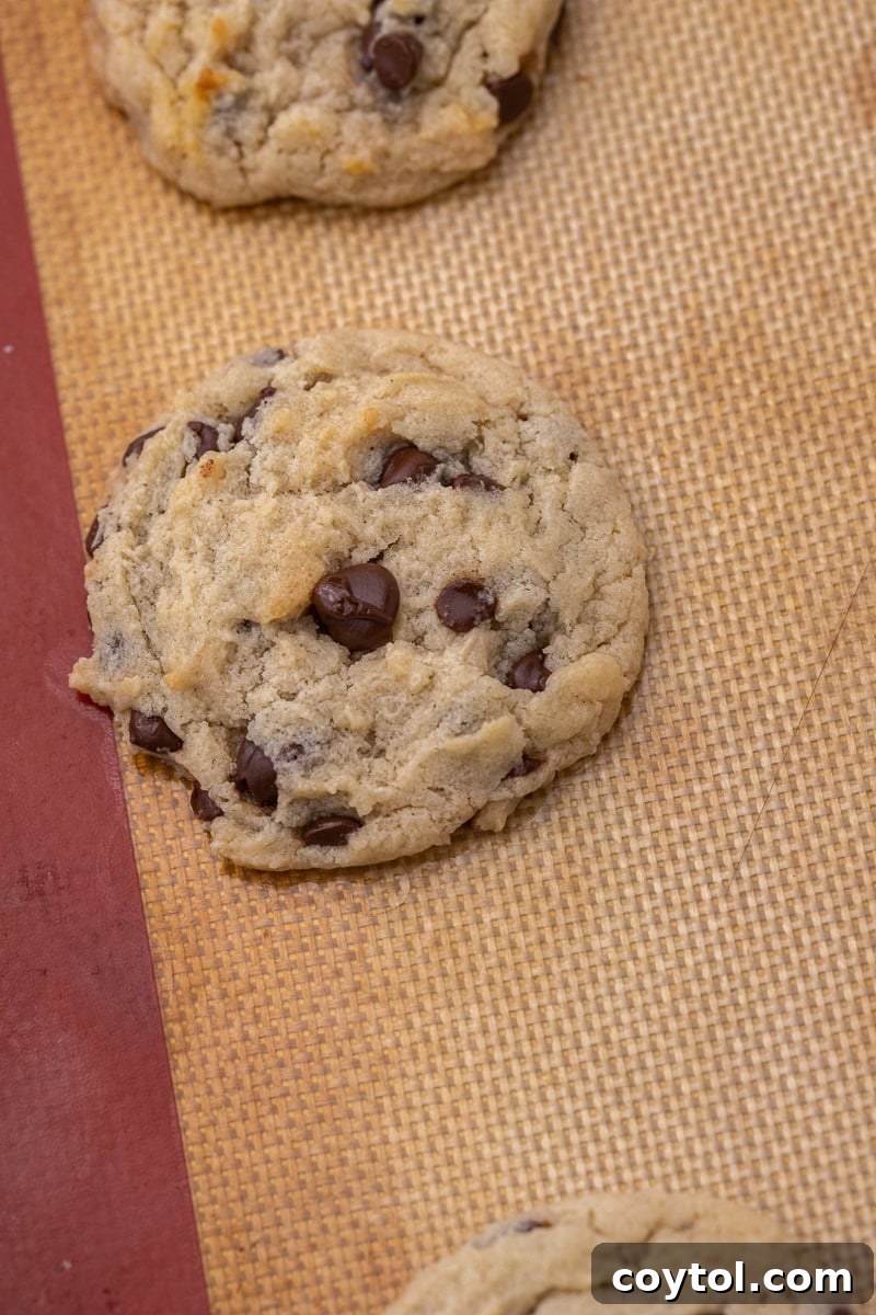 A freshly baked, chewy eggless chocolate chip cookie cooling on a baking sheet, showcasing its golden color and melted chocolate.