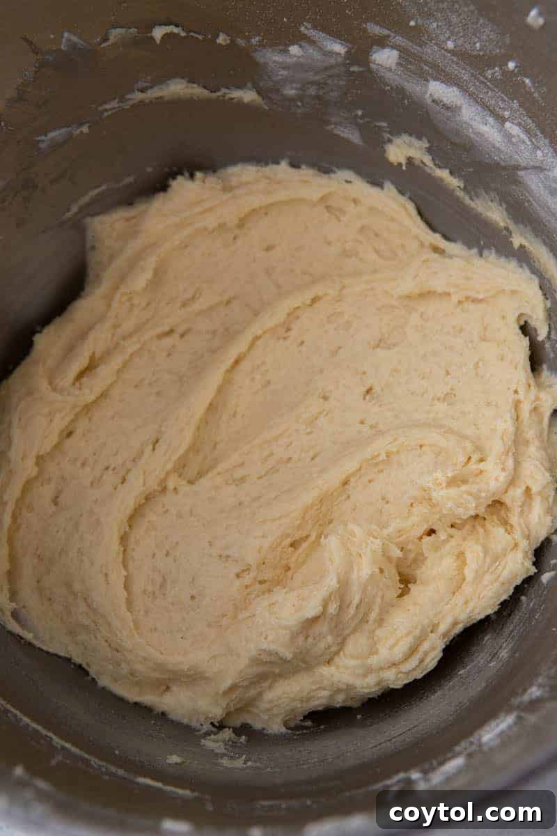 Cake batter with eggs and vanilla