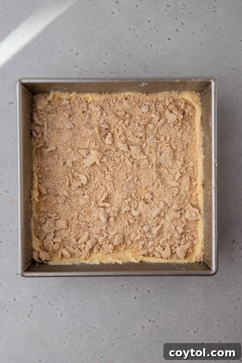 Coffee cake with streusel layer in a pan before baking