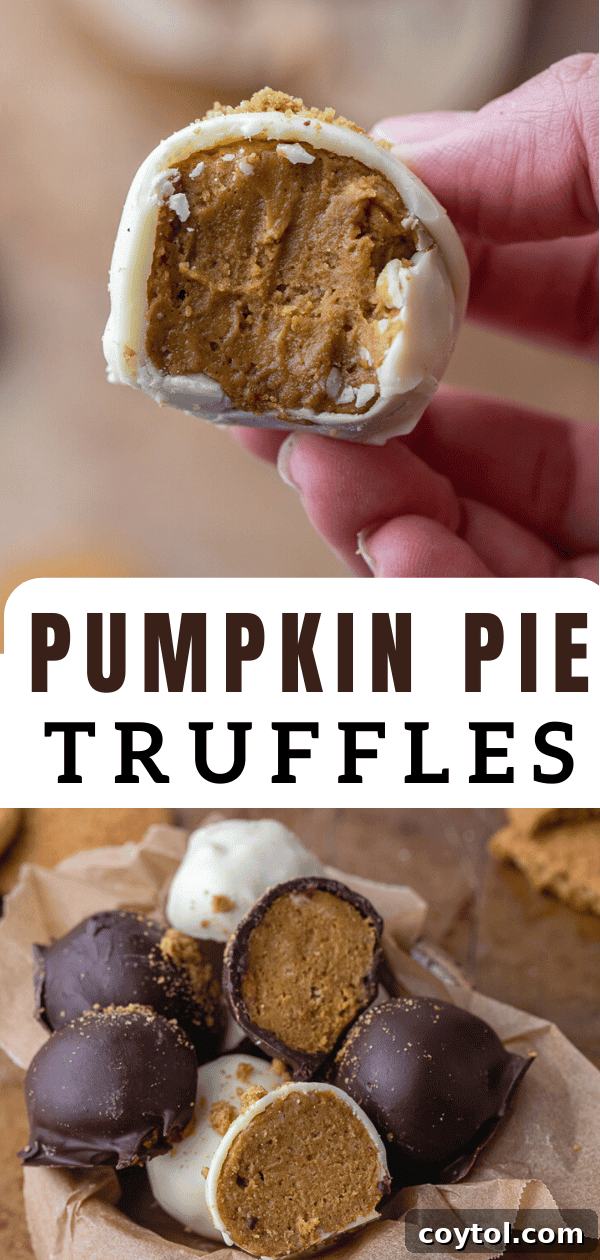 Assortment of pumpkin pie truffles, some with white chocolate, some with dark