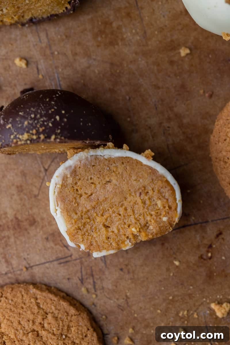 Freshly chocolate-dipped pumpkin truffles sprinkled with cookie crumbs