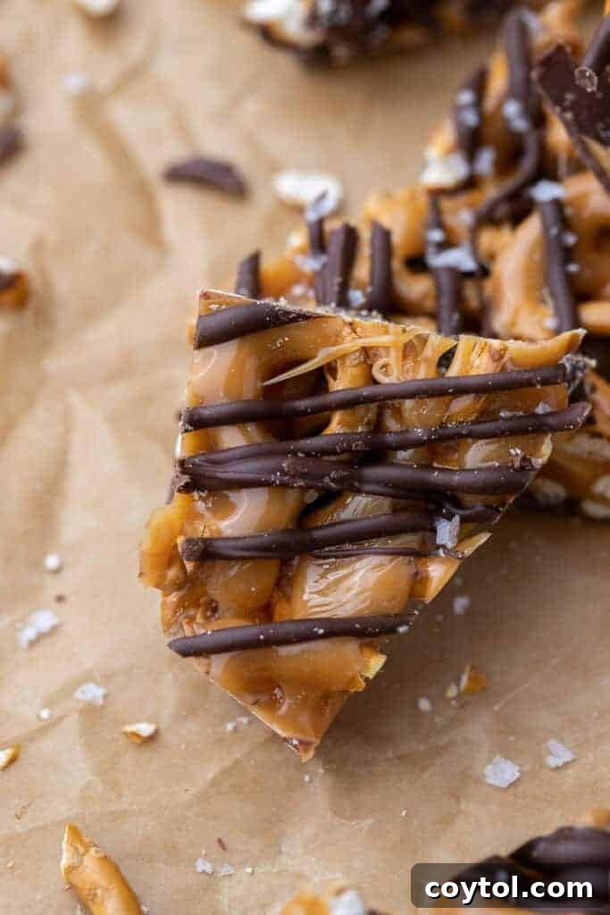 Slice of pretzel bark