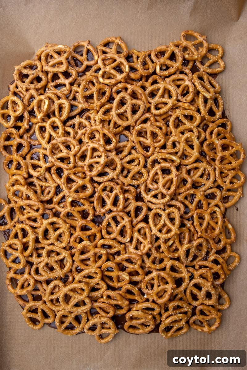 Pretzel on melted chocolate