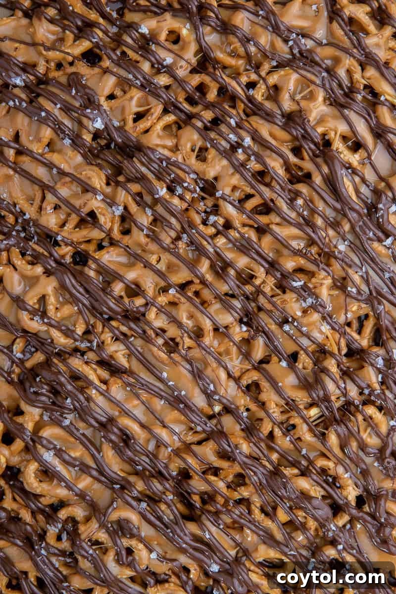Close up photography caramel pretzel bark