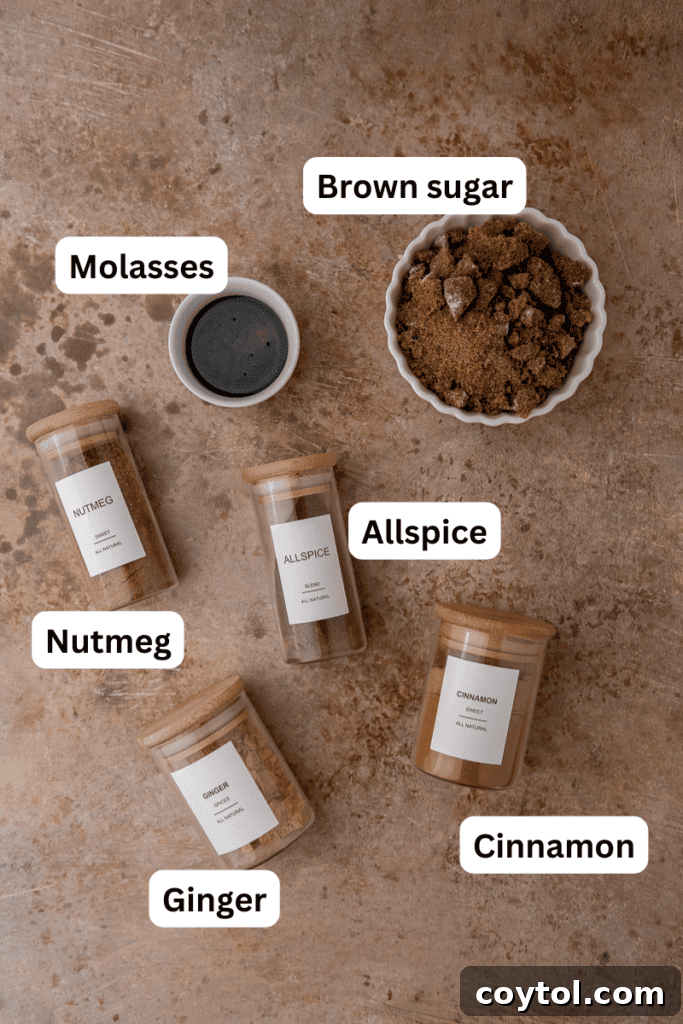 Ingredients laid out on a counter, including brown sugar, molasses, cinnamon, ginger, nutmeg, and allspice.
