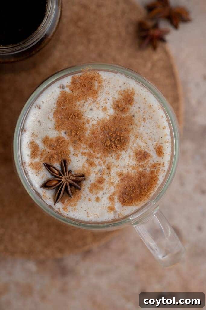 Top view of a gingerbread latte with frothy milk, cinnamon sprinkled on top, and a star anise garnish.
