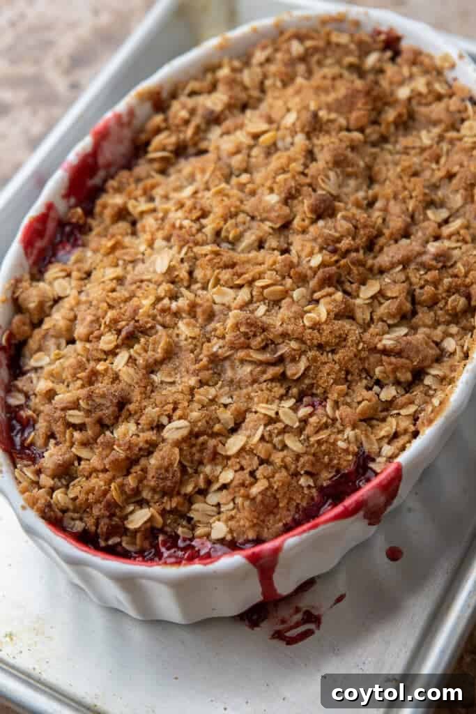 A beautifully baked cranberry apple crisp, golden and bubbly, fresh from the oven, ready to be served for the holidays.