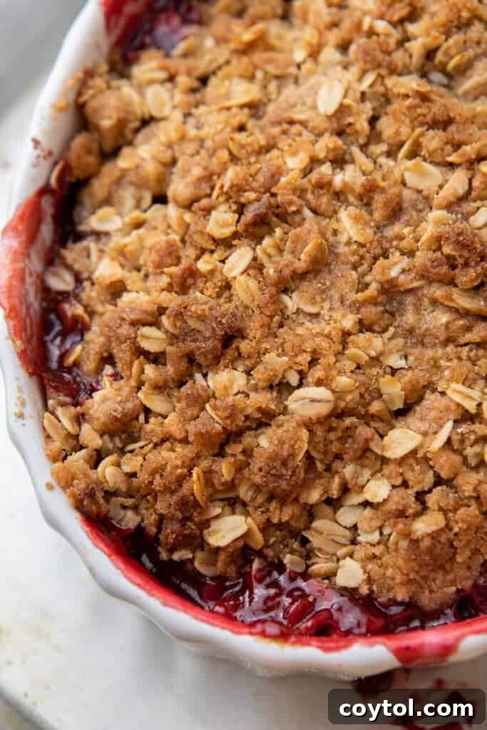 A close-up shot of the golden, bubbly cranberry apple crisp, highlighting its crispy topping and soft fruit filling, served in a rustic bowl.