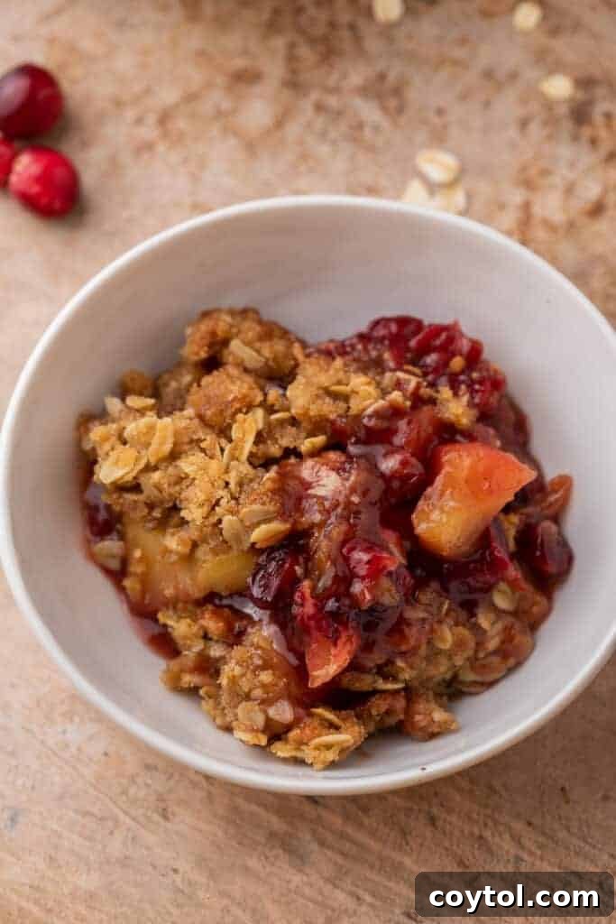 A single serving of cranberry apple crisp in a bowl, topped with melting vanilla ice cream and a garnish, ready to be enjoyed.