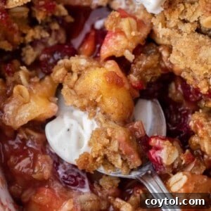 Spoon of cranberry apple crisp and ice cream