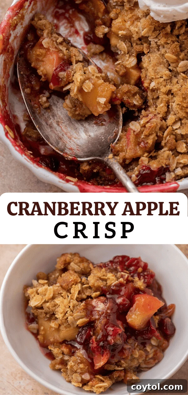 Festive Cranberry Apple Crisp for the Holidays - Pin this recipe for your next holiday gathering.
