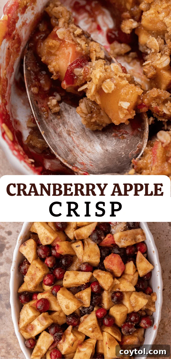 Easy Homemade Cranberry Apple Crisp Recipe - A perfect fall and winter dessert.