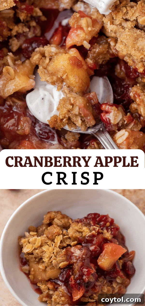 Best Cranberry and Apple Fall Dessert Idea - Serve warm with ice cream.