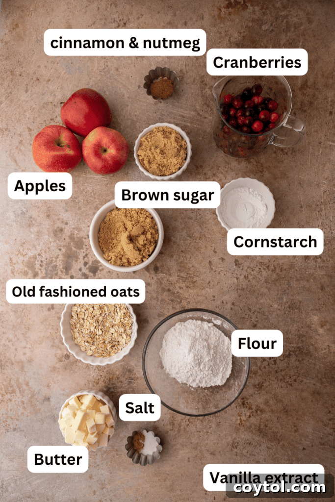 Fresh apples, vibrant cranberries, and warming spices laid out on a kitchen countertop, ready for baking this delicious crisp.