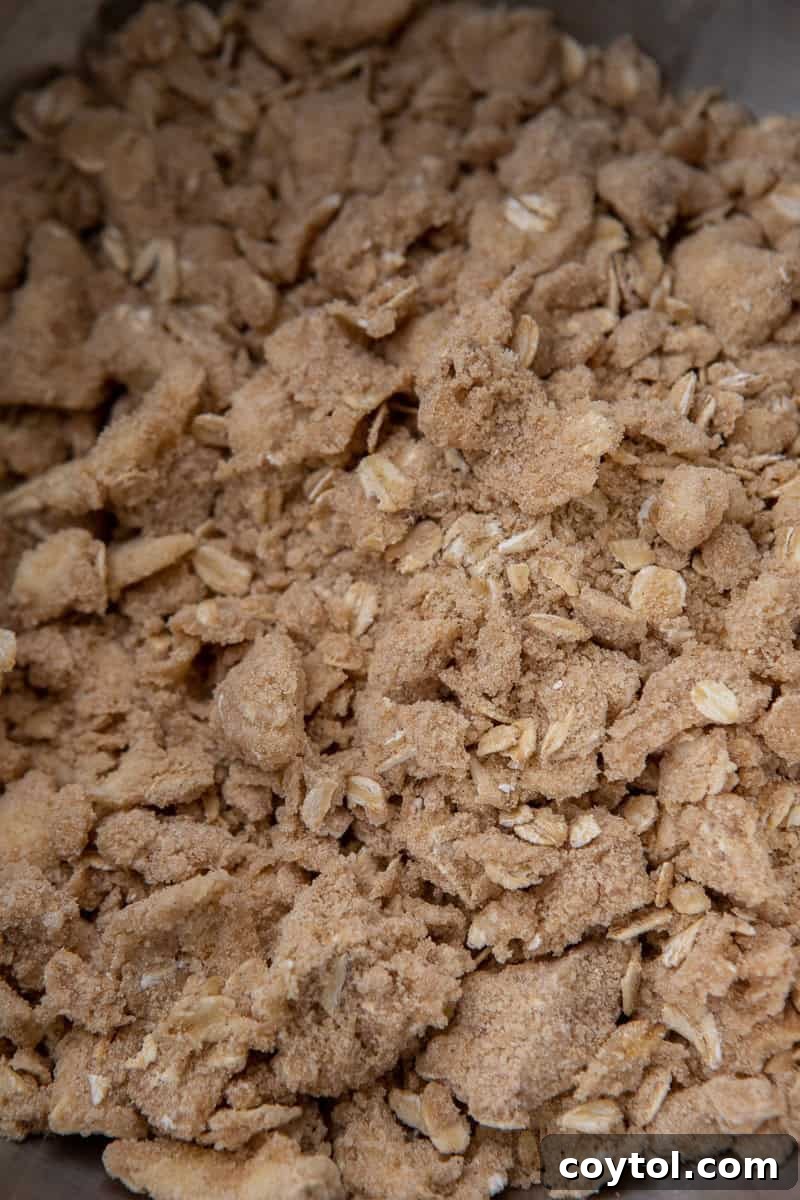 Finished streusel topping mixture in a bowl, showing crumbly texture with small pea-sized butter clumps.