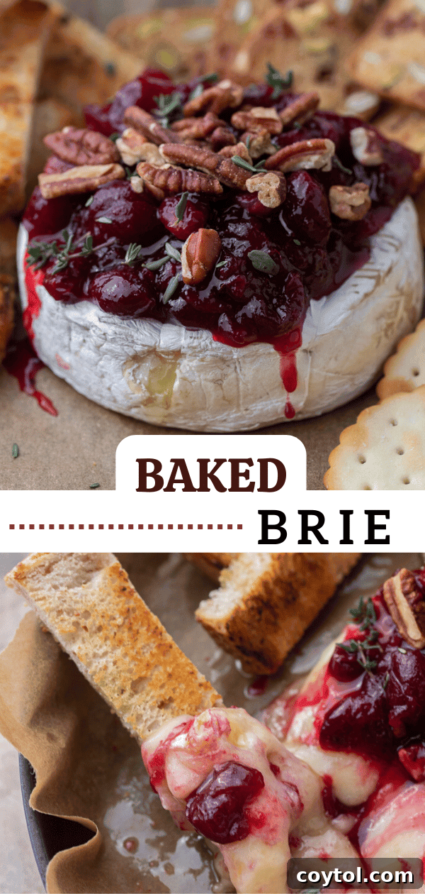 Pinterest photo for baked brie with cranberry sauce