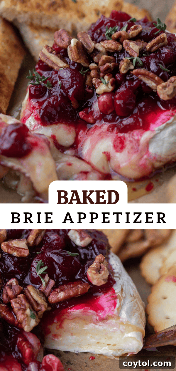 Pinterest photo for easy baked brie appetizer