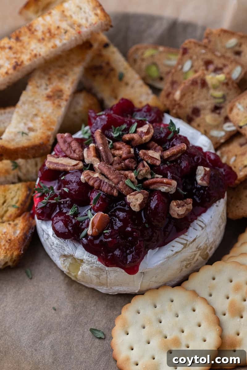 Baked brie topped with cranberry sauce and nuts