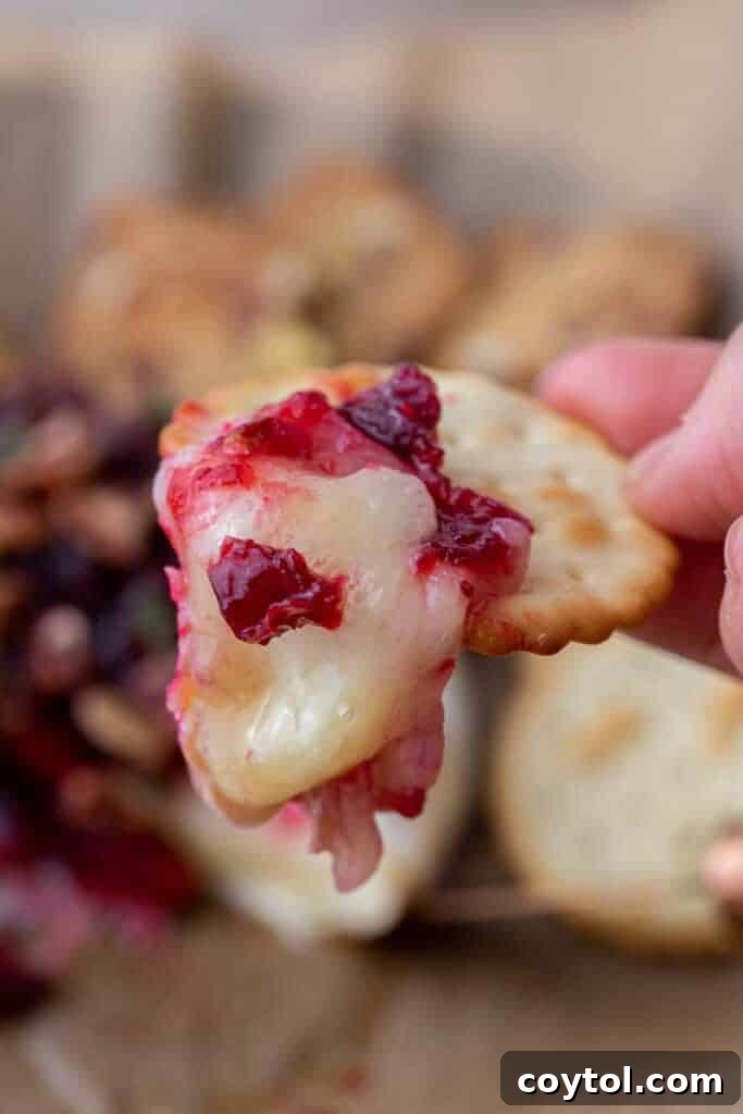 Baked brie served on a cracker