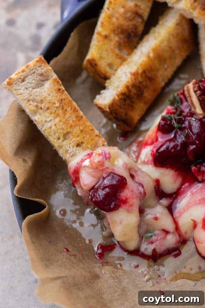 Baked brie served with toasted bread