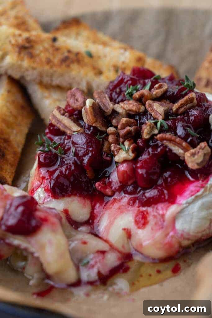 Melted cheese oozing out of baked brie