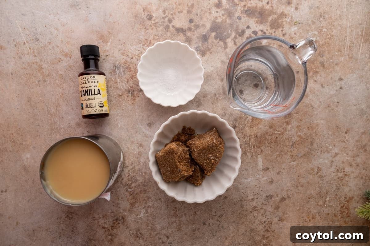 Ingredients on the counter. Dark brown sugar, sweetened condensed milk, vanilla extract, salt, and water arranged on a countertop.