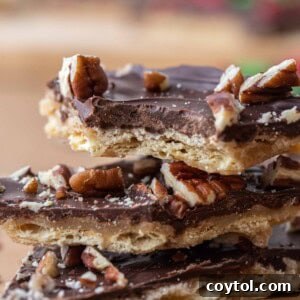 Close up of Christmas crack with pecans