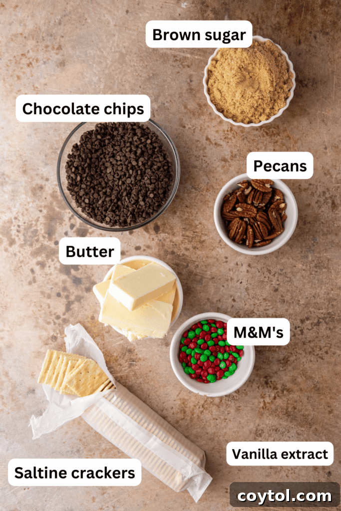Essential ingredients for Christmas Crack arranged on a kitchen counter: butter, brown sugar, saltine crackers, chocolate chips, and pecans.