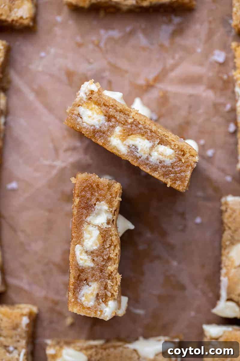 Close up of cookie bars