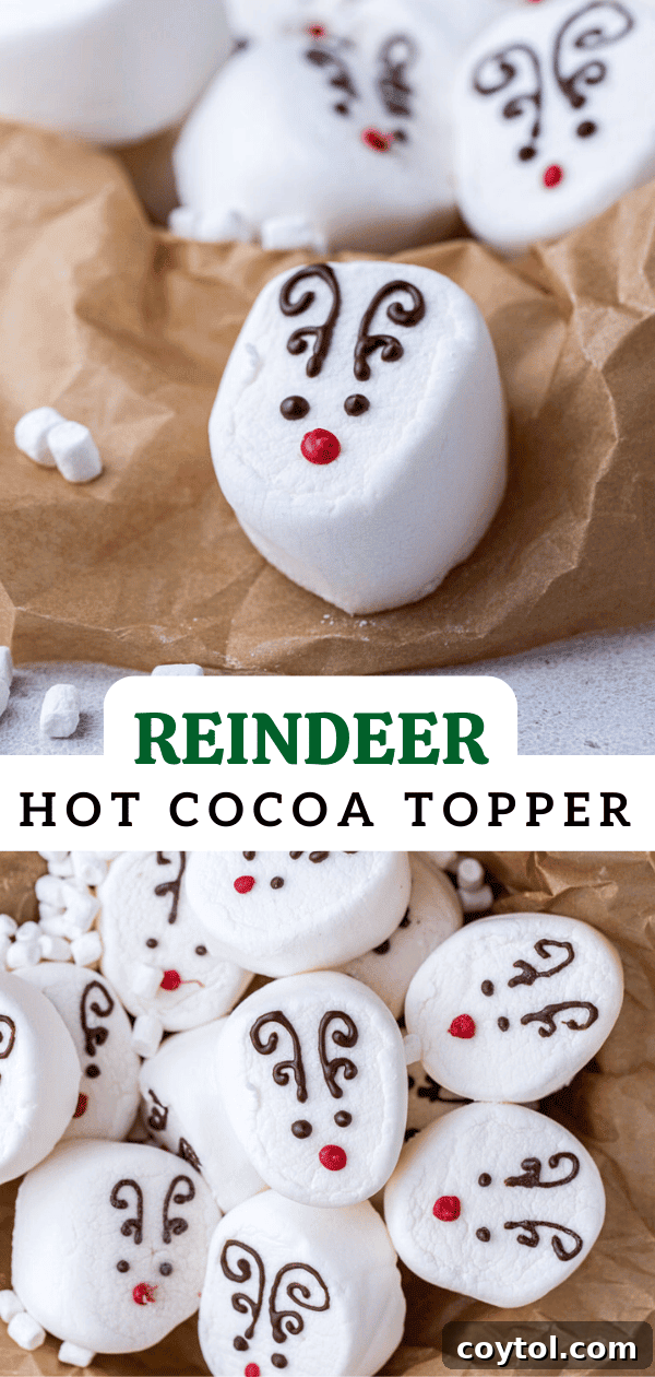 Pinterest collage showcasing various angles of reindeer hot cocoa toppers for festive sharing