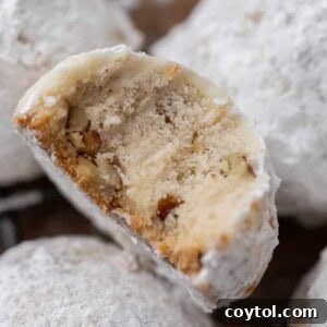Close up of of snowball cookie