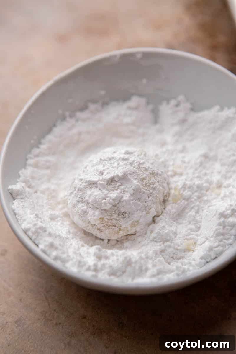 Cookie dipped in powdered sugar