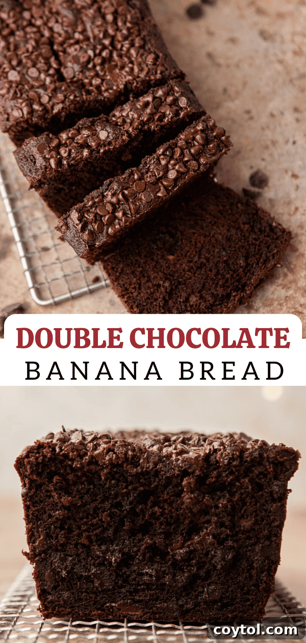 Decadent Double Chocolate Banana Loaf 16 Double chocolate banana bread