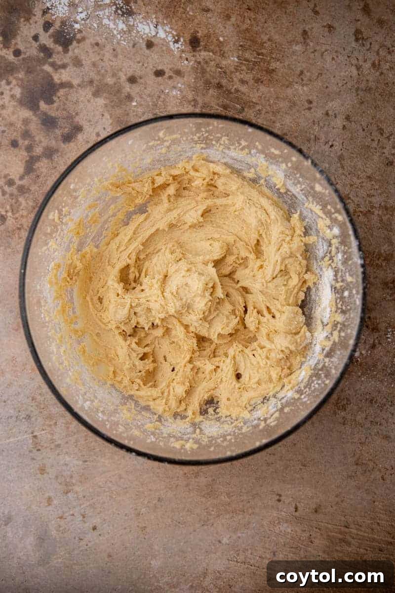 Cookie dough in a mixing bowl