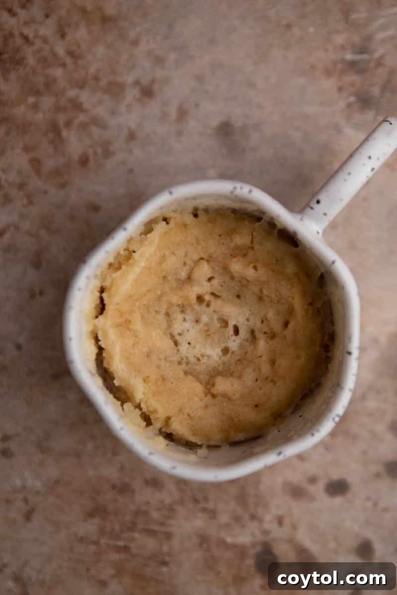 Golden Oreo Gooey Mug Cake in Minutes 6 Molten lava golden oreo mug cake, ready for serving